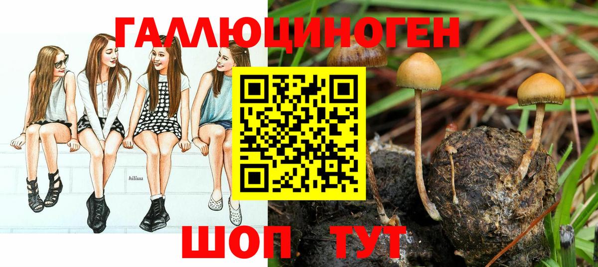 Псилоцибиновые грибы мухоморы  Вход с VPN  Малоярославец  Галлюциногенные грибы мухоморы 